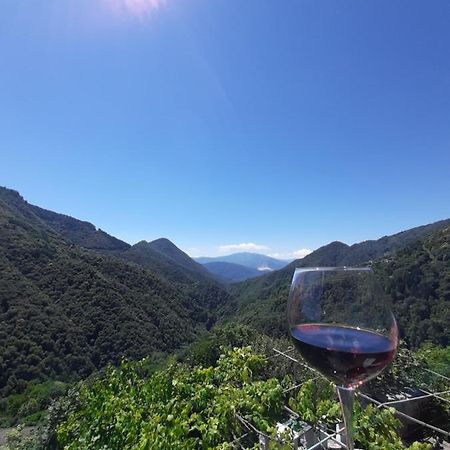 B&B La Locanda Del Cinghiale Aurano Luaran gambar