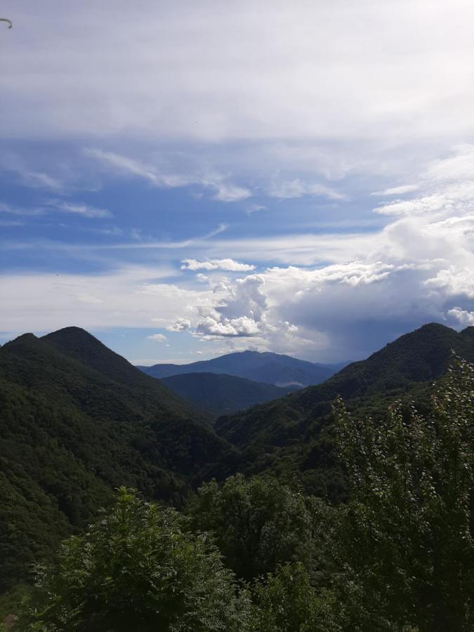B&B La Locanda Del Cinghiale Aurano Luaran gambar