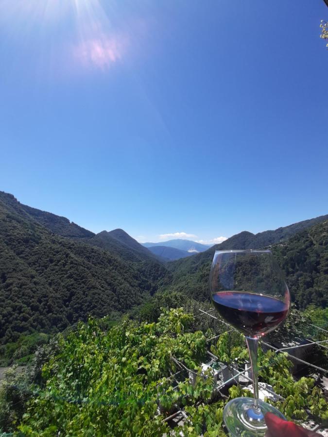 B&B La Locanda Del Cinghiale Aurano Luaran gambar